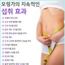 모링가 다이어트 &amp; 모링가 가격 이미지