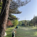 조일프라자 골프클럽 네이버블로그