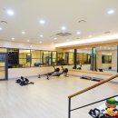 MVGym Daum카페