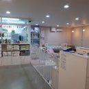 늘안아줄개 이미지