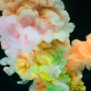 플러스컴퓨터 이미지