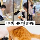 애니멀 프렌즈 이미지