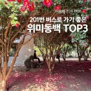 위미바다풍경하우스 | 제주 세화 숙소 쥔장 추천, 201번 버스로 가기 좋은 겨울 위미 동백꽃 명소 TOP3