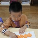 팡팡마차 이미지