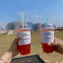 스퀘어독스 펫 이미지