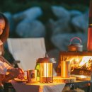 스테이 그로브 이미지