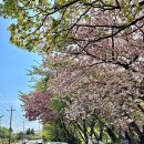 알음알음제주 이미지