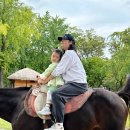 Being ambi | 용인 한국민속촌 승마체험 후기🐎 아이와 함께 간단하고 저렴하게 즐기는 승마 체험!