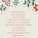 섬사진관