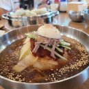 우대감네금송아지 | 진주 원조가야밀면! 밀면+만두+콩나물국밥 전투 먹방으로 싹 쓸고온 후기