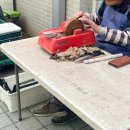 광장동주민센터 | 2026 광진구 칼갈이 일정 총정리, 군자동 주민센터 방문기