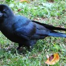 둥지광택 이미지