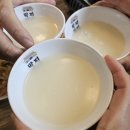 두꺼바시즌2 | 일산 주엽역 낮술 두꺼바 시즌2 닭볶음탕 추천 메뉴
