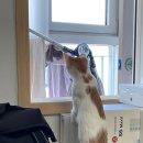 빵이야기(Bread&Story) 이미지