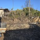 나무마당 이미지