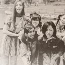 롤리폴리 이미지