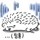 춘천풀빌라 테라테하우스 이미지