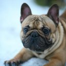 ZANYCAMP(재니캠프) 이미지