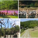 허브동물메디컬센터 | 🚗 수도권 당일치기 여행 🌟 파주 운정 1박2일 완벽 코스 (물놀이 + 카페 + 맛집 + 스타필드까지 ALL-IN-ONE)