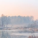 에피루틴 이미지