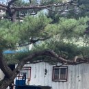 내설악송어횟집 이미지