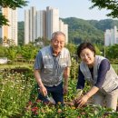 성남시분당시니어클럽 | 2026년 경기권 시니어클럽 위치 및 노인일자리 대기자 등록 가이드