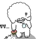 HC모터스 이미지