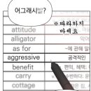 투투 이미지