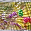 우리보강약국 이미지