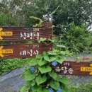 삼회1리 마을회관 티스토리