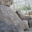 반디랜드 곤충박물관 이미지