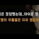 여인형은 尹 앞에서 왜 무릎꿇었나? 특검앞에서 '곡해' 저격 이봉규TV﻿ 이미지