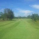 파라다이스골프장 이미지