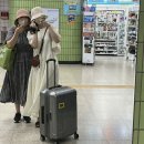 개인화물548 | 8월 엄마랑 4박5일 제주도 뚜벅이여행 / 대한항공KE1073 / 트립백 / 비자림 / 비자림미담 / 함덕해오반...