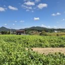 삼웅마을회관 이미지