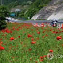 인제할인마트 이미지