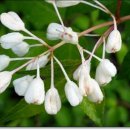 하늘담한의원 이미지