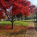 신북초등학교 | [경기도 포천시] 아도니스호텔