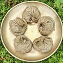 천매막국수어사또왕족발보쌈 | 원주 판부면 맛집 베스트 10 순위 추천