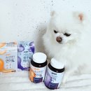 편한대로 | 야큐펫 조인트 세심한 블루베리L, 속편한연어L 후기