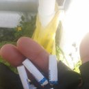 여주-0527 이미지