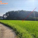 여주-1085 이미지