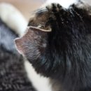 오동슈퍼 이미지