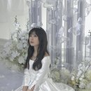오가와 티스토리