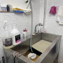 응암애견 이미지