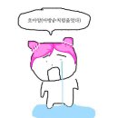 모세휠체어 이미지