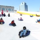 반얀트리클럽앤스파서울눈썰매장 한국경제