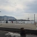 자갈치시장 이미지