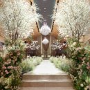 루체4호 이미지