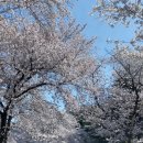 암곡와동 이미지